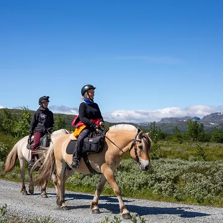 Vakantiehuis Fjellperlen Med Jacuzzi, Badstue&utsikt Beitostolen